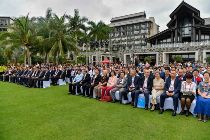 2019年南洋文化节开幕式现场。中新社记者 骆云飞 摄