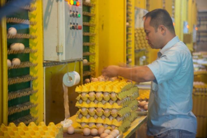 临高县波莲镇带昆村村容整洁。本报记者 凌楠 摄