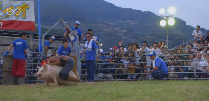 △来源：B站@MaxView极视野