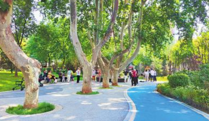 日前，石家庄市范西路与青园街交叉口西北角的一处街旁游园成为附近居民休闲的好去处。河北日报通讯员 张晓峰 摄