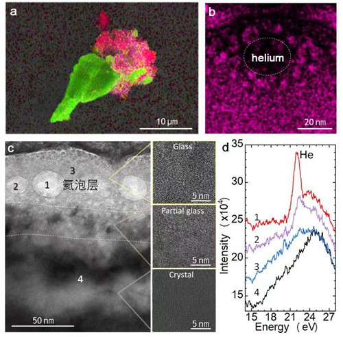 　　图1、（a）EDS显微图，一颗形似康乃馨花的月壤钛铁矿颗粒（花托部分）和粘接的胶结物质（花冠）；（b）透射电镜下观测到的一个氦气泡的放大图，红色为Fe元素分布情况；（c）月壤钛铁矿表面形成了玻璃层，氦气泡主要在玻璃层中；（d）图（c）中不同位置的电子能量损失谱曲线。 图源：中科院宁波材料技术与工程研究所