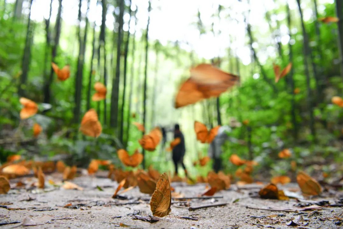 中新社记者 刘冉阳 摄