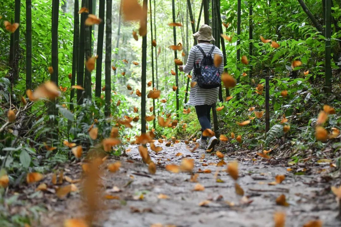 中新社记者 刘冉阳 摄