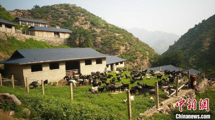 灵丘县车河社区生态养殖。　灵丘县新闻中心供图