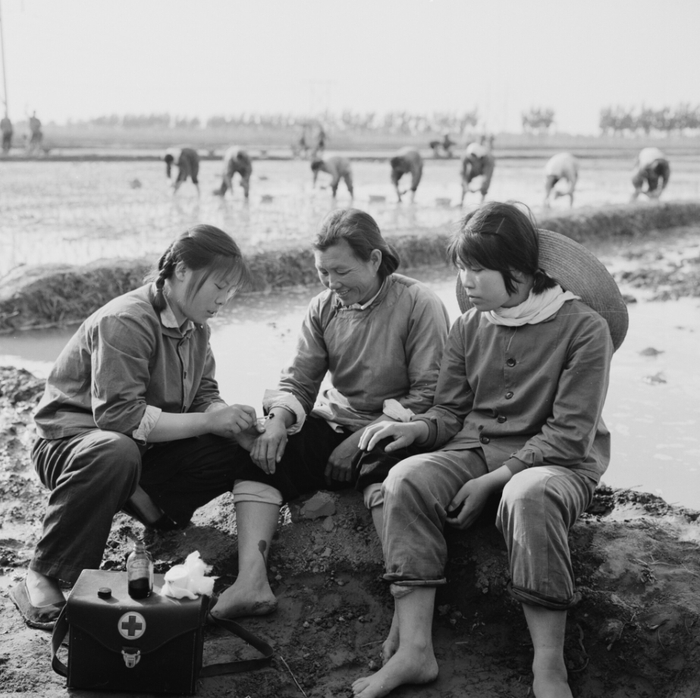 1971年，大兴赤脚医生深入田间为农民服务。 刘乐棠摄