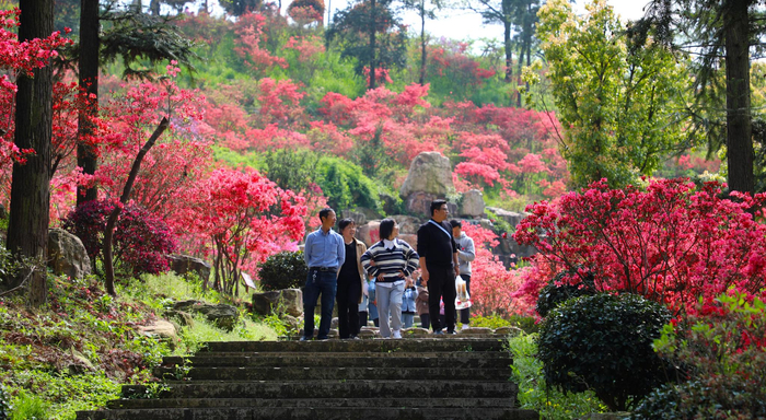 城山沟桃源山庄风景。兴业银行湖州分行供图