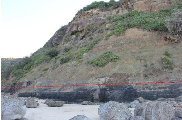 澳大利亚悉尼盆地北缘的生物灭绝层位（红线所示）。（沈延安课题组供图）