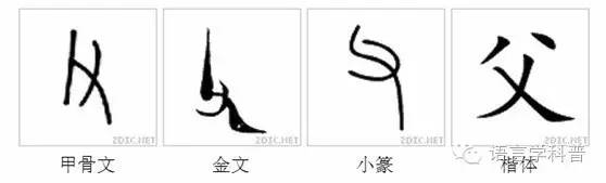 “爸爸”称谓演变史:父亲不都叫“爸爸”