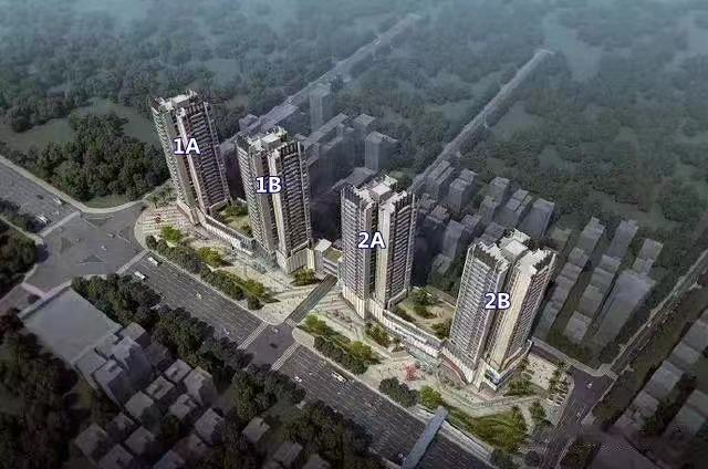 图片来源：项目资料