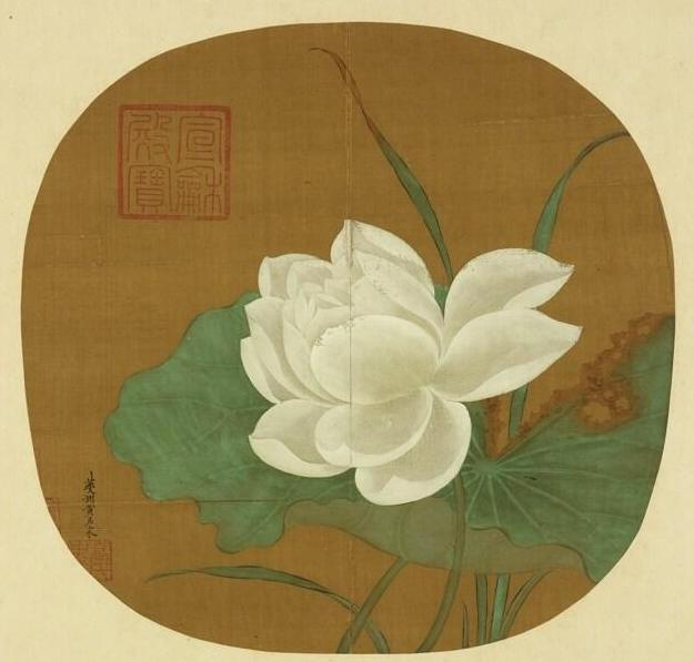 （传）宋 黄居寀 白莲（局部） 本幅选自台北故宫博物院藏“历代名绘册” 