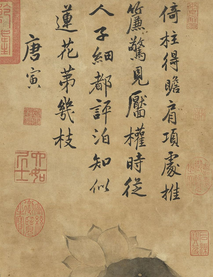 明 唐寅 芙蕖 轴（局部） 台北故宫博物院藏