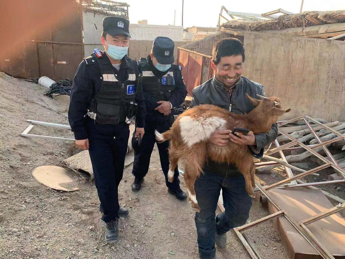 民警为居民找到丢失的羊。  受访者供图