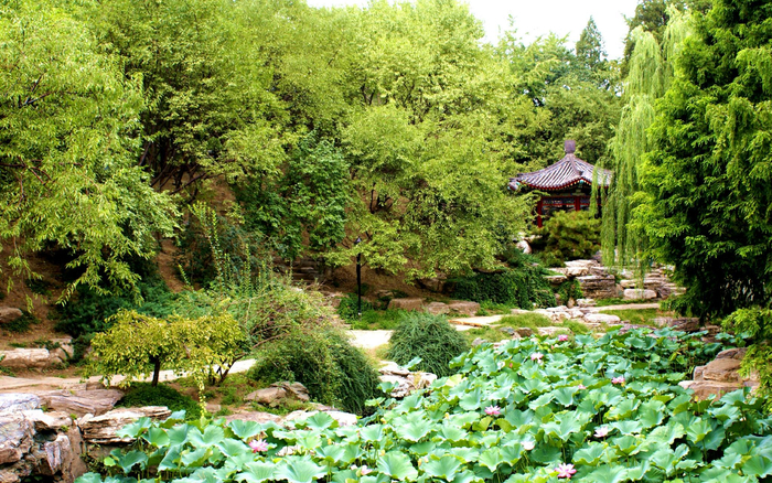 中山公园（资料图）。北京市公园管理中心供图