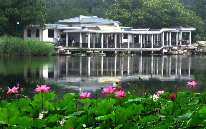 玉渊潭公园（资料图）。北京市公园管理中心供图