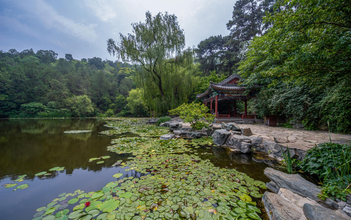 2022年香山公园。北京市公园管理中心供图