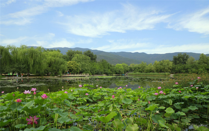 国家植物园（北园）（资料图）。北京市公园管理中心供图