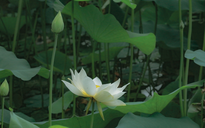 2022年北京动物园。北京市公园管理中心供图