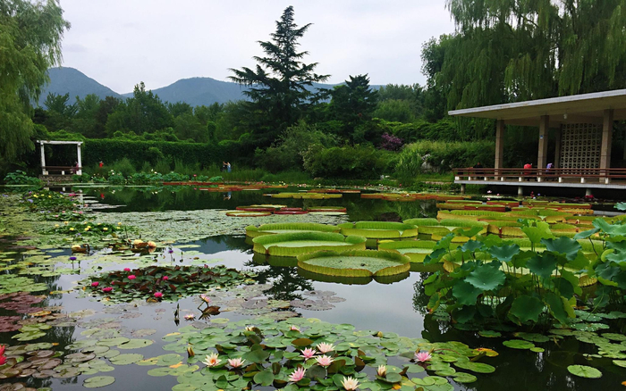 国家植物园（南园）（资料图）。北京市公园管理中心供图