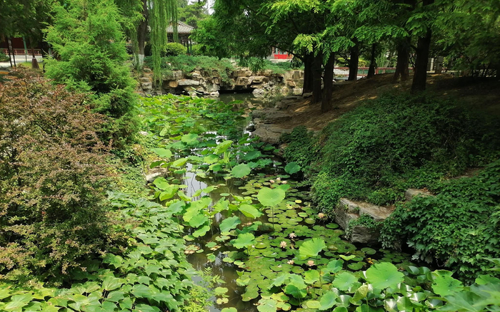 2022年中山公园。北京市公园管理中心供图