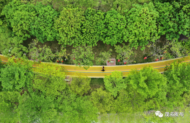 穿行于城区文化广场段的“好心绿道”，仿佛是一场春天的旅行。张冠军 摄