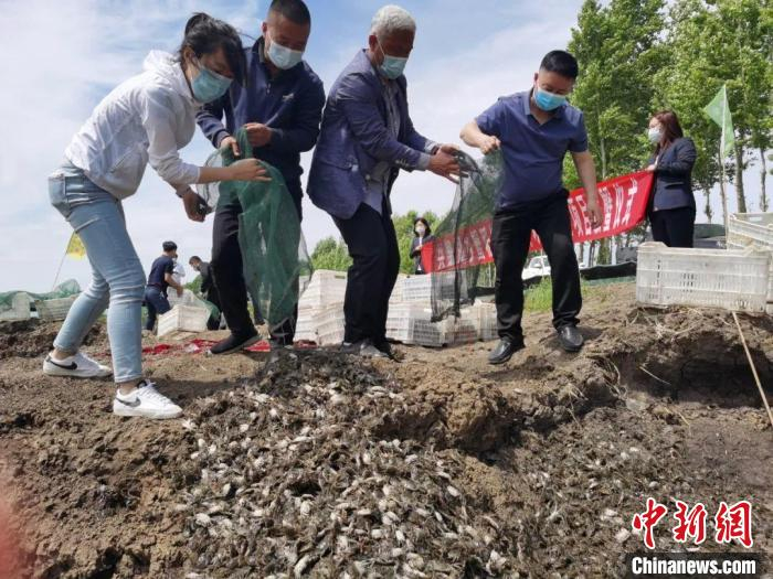 3000亩蟹稻预计增收700万元。　于金鑫 摄