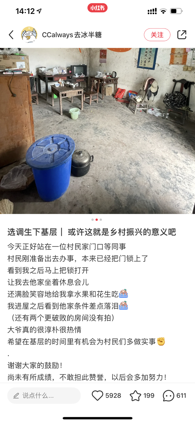 在农村，青年乡镇干部更深刻理解了乡村振兴