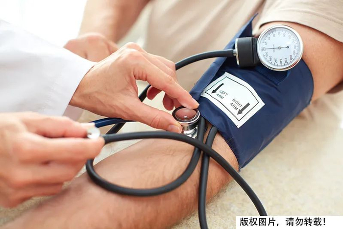图库版权图片，不授权转载