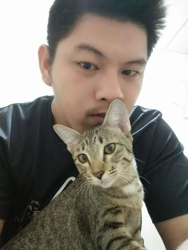 本来挺帅一小伙，养猫5年后！|猫|小猫|小伙_新浪新闻