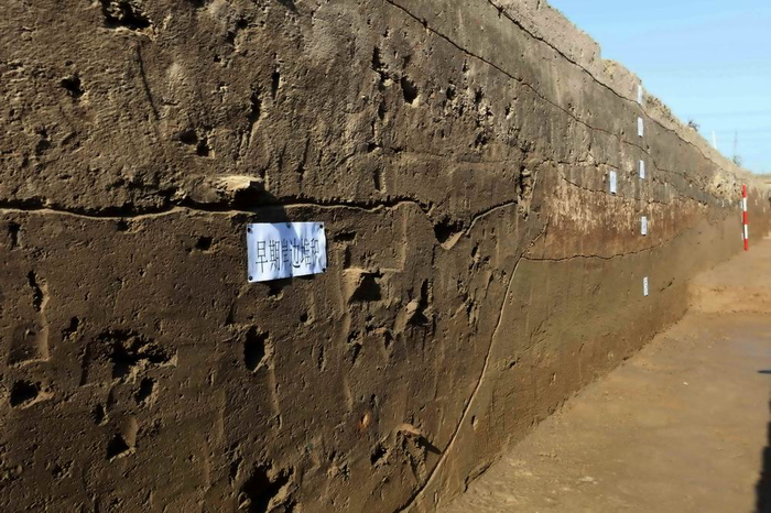 “内城”南墙外护城河北堤岸剖面（何岁利供图）