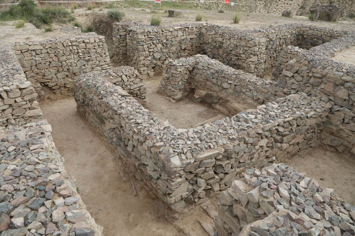 血渭一号墓墓室