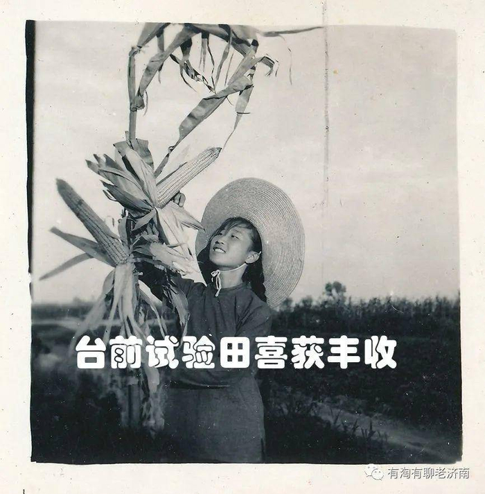 你没见过的寿张县老照片  曾经的山东名县(组照)