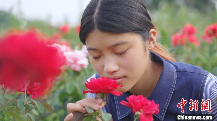 游客陶醉花海中。　陈达 摄