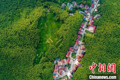 俯瞰长兴县煤山镇五通山村 煤山镇 供图