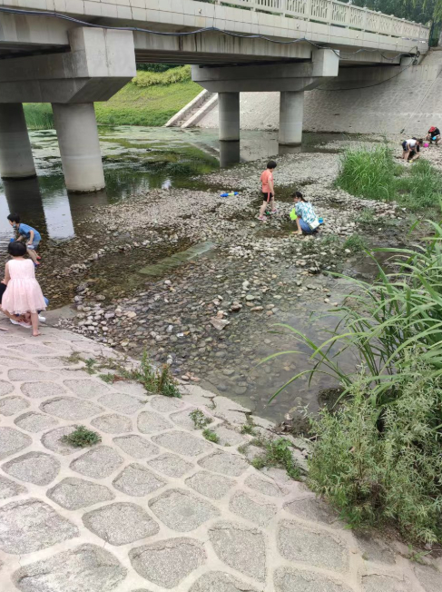 凤河内戏水的市民