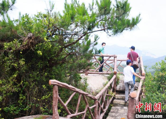 民众登上南澳岛的山峰 广东省林业局 供图