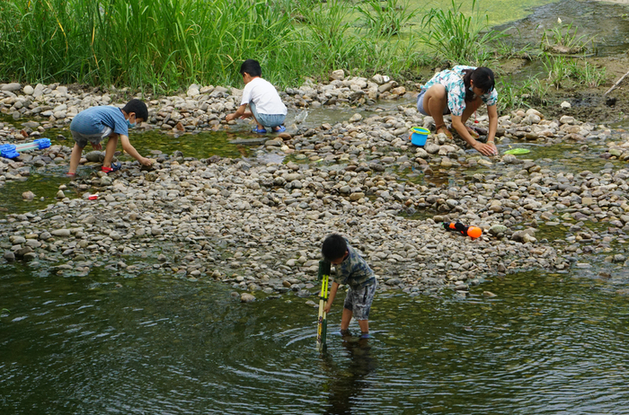 在凤河河道戏水的市民