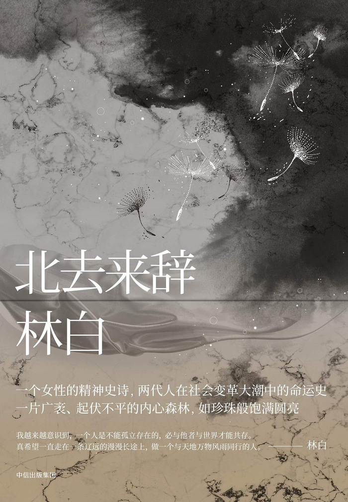 林白上一部长篇小说《北去来辞》