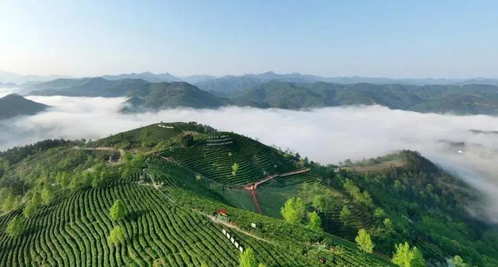 图片来源：新华社