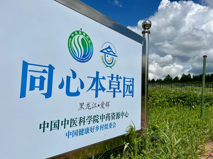  新生鄂伦春族乡的中药材种植示范区域。新华社记者刘赫垚摄
