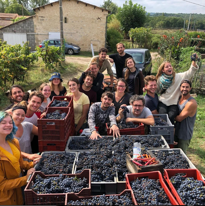 图片来源：品牌提供