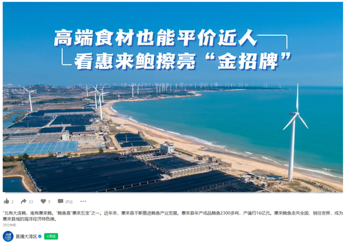 ▲视频号“直播大湾区”