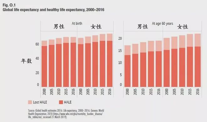 图片来自《2019年世界卫生统计》