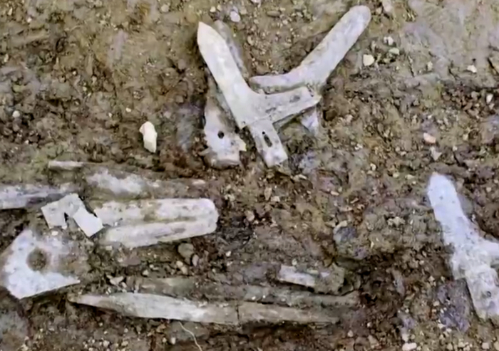 双元村墓地出土青铜矛和戈