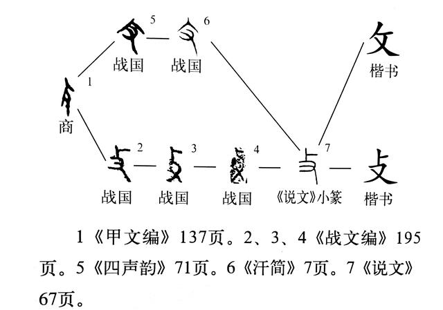 《说文解字》第586课:“反文旁”的来历