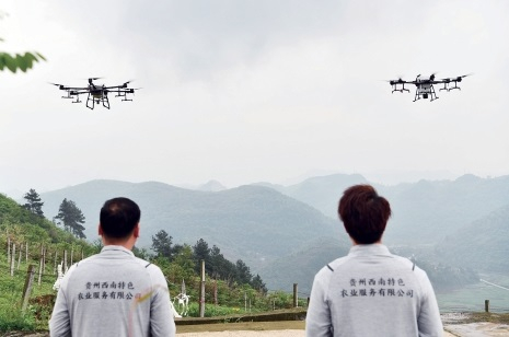 　　在南方经济作物上，无人机作业有着更大的发展空间。　新华社记者　杨文斌　摄