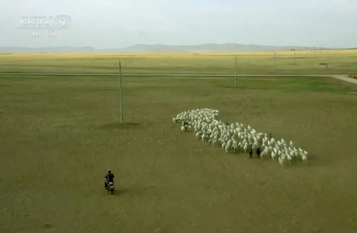内蒙古的游牧人。来源/纪录片《家在内蒙古》截图