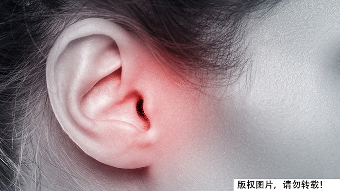 图库版权图片，不授权转载