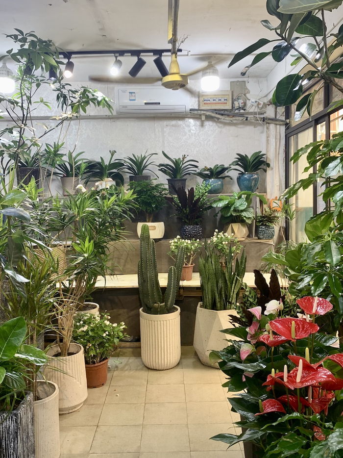 花卉租摆公司的生态美学之旅