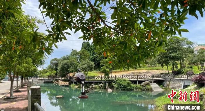 方家山村村景。　福鼎市融媒体中心 供图