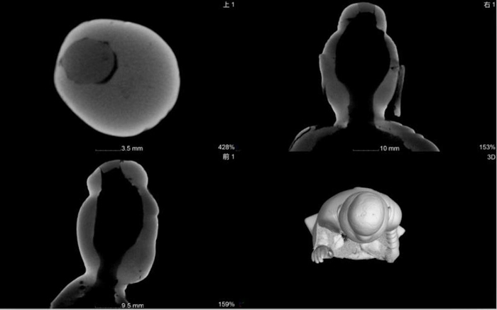 图6 释迦佛鎏金铜坐像X-CT图